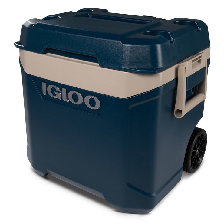 igloo maxcold 156 litre cool box