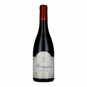 Bourgogne Rouge Domaine Charles Audoin 2023, 75cl