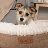 Scruffs® Ellen Donut Medium Bed in Tan, 55cm Scruffs® Ellen Donut Medium Bed in Tan, 55cm