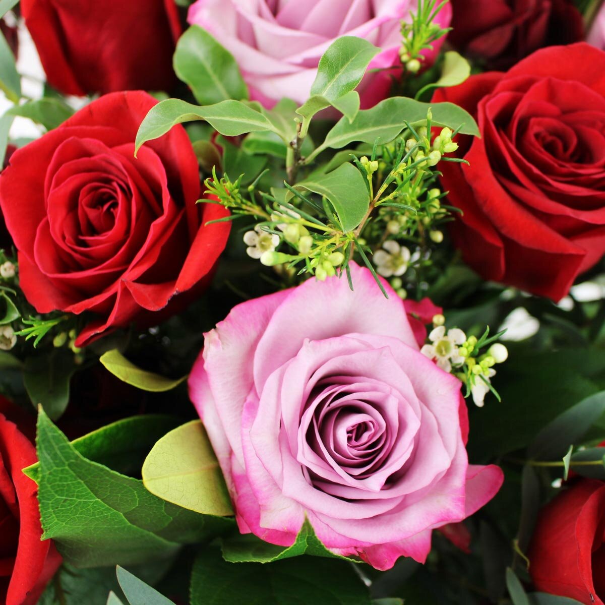 Valentine's 37 Stem Special Seasonal Rose Flower Bouquet with Greetings Card