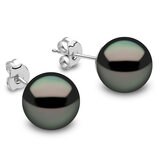 10.5-11mm Tahitian Black  Pearl Stud Earrings, 18ct White Gold