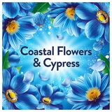 Coastal Flowers & Cypress