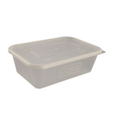 Container with Lid On