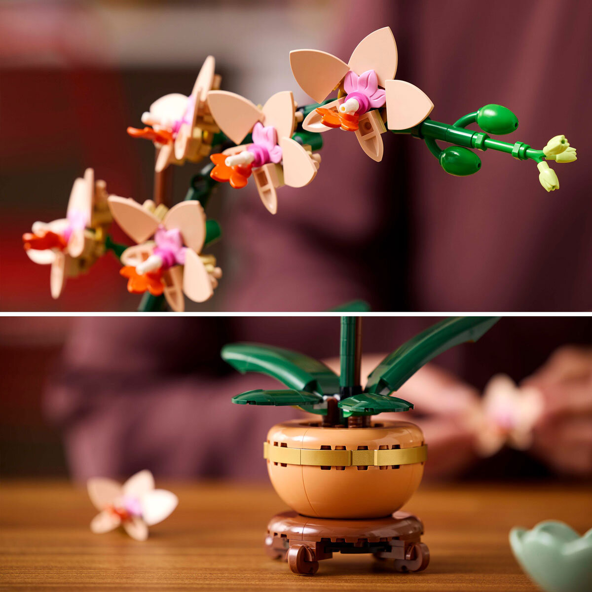 LEGO Botanicals Mini Orchid - Model 10343 (18+ Years)
