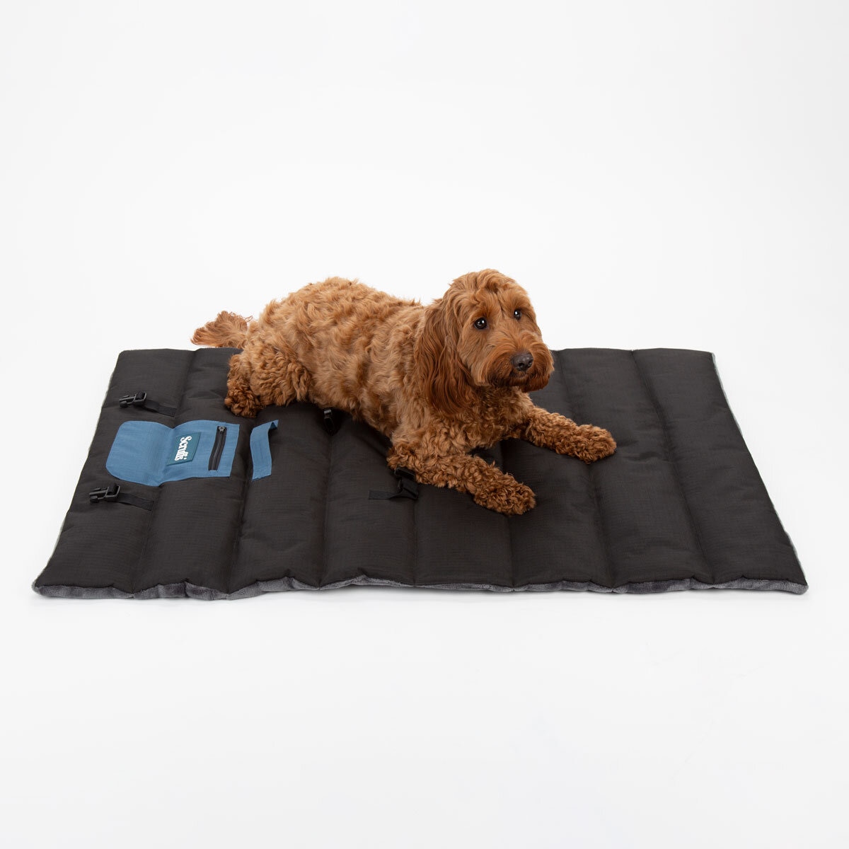 Scruffs Reversible Roll Up Travel Bed, 100cm x 70cm in Blue