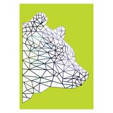 Bear outline