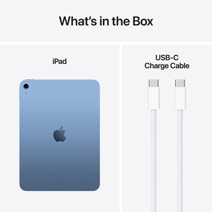Apple iPad (A16) Wi-Fi 256GB in Blue at costco.co.uk