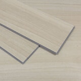 5_WEB_Cardiff_77SPC0478