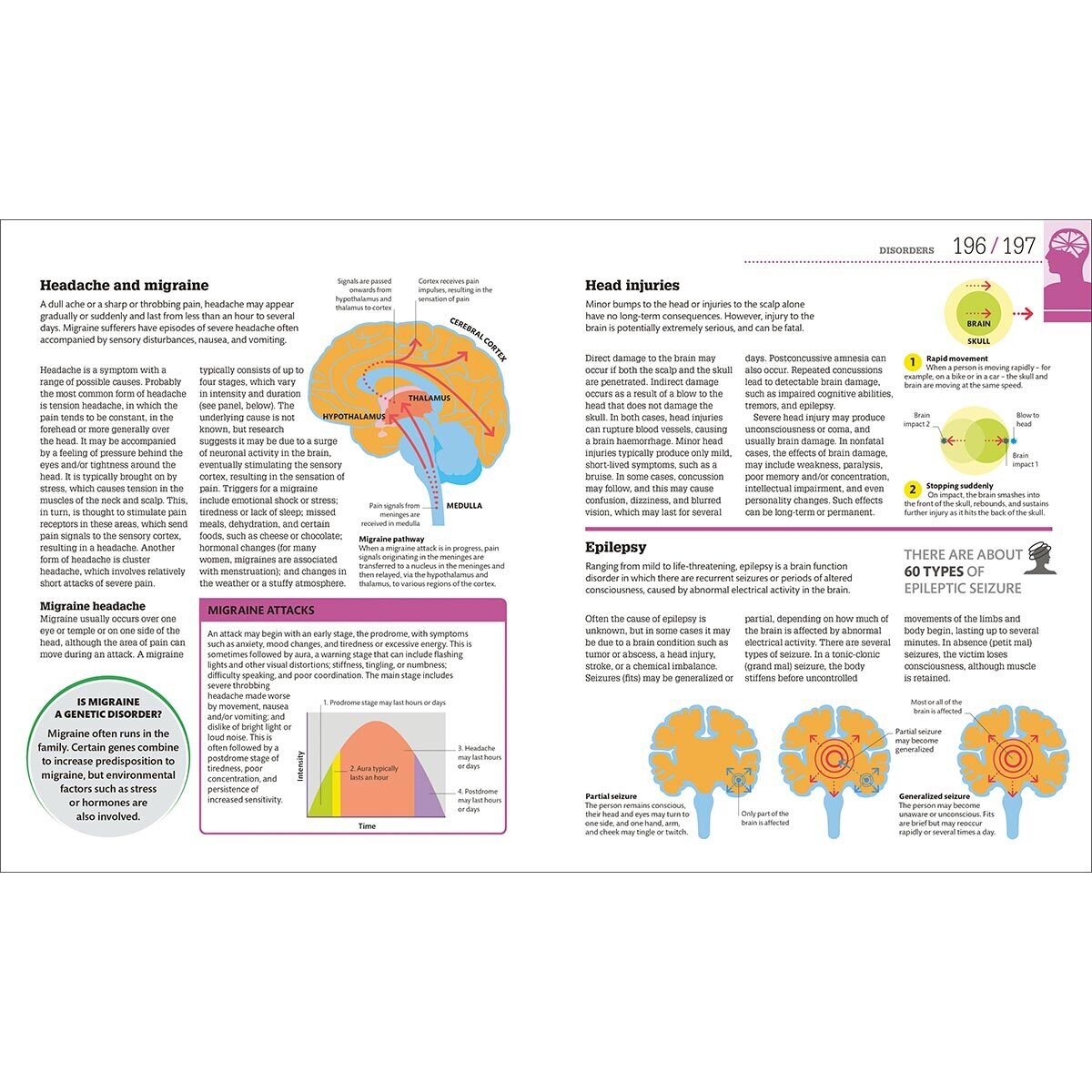 Page spread of How food works