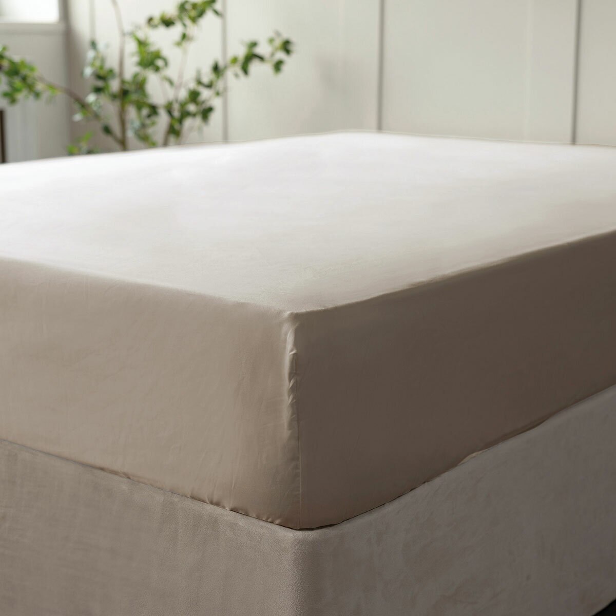 Belledorm 600 Thread Count Cotton Taupe Fitted Sheet in 3 Sizes Belledorm 600 Thread Count Cotton Taupe Fitted Sheet in 3 Sizes