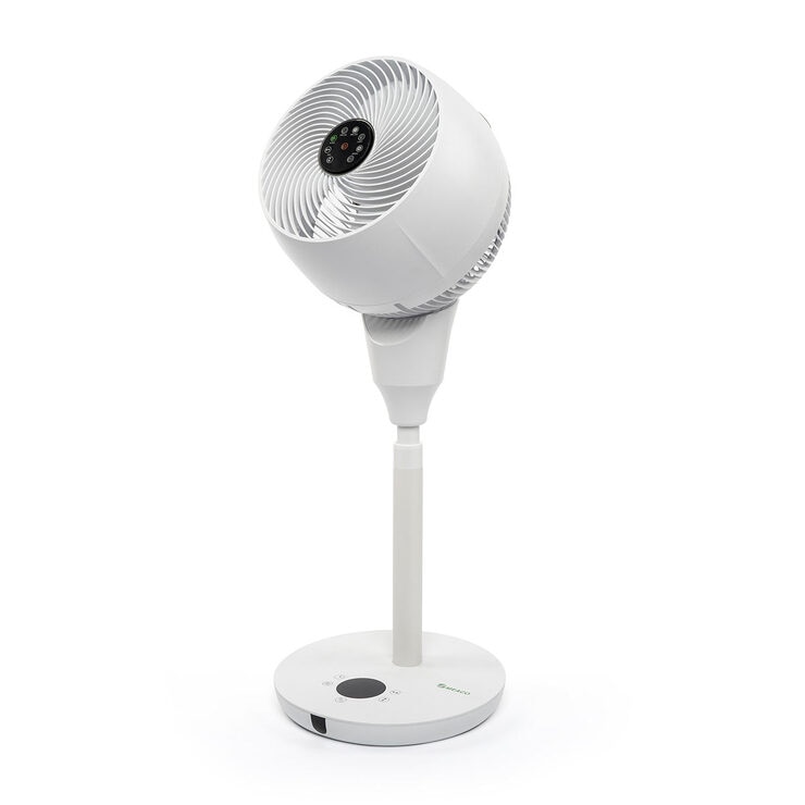 image of fan image of fan