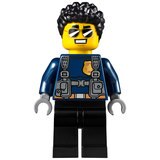 Individual Lego Minifigure