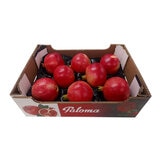 Tray of Paloma Pomegratates