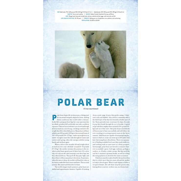 Polar: A Photicular Book