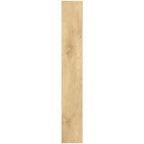 Single plank on white background