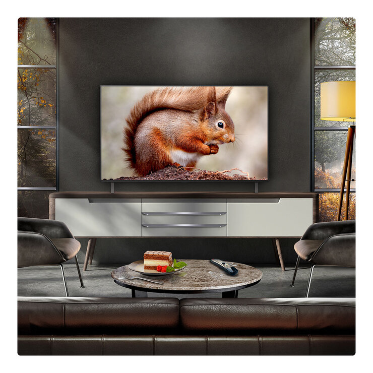 Buy LG OLED48B56LA.AEK 48" OLED TV at Costco.co.uk