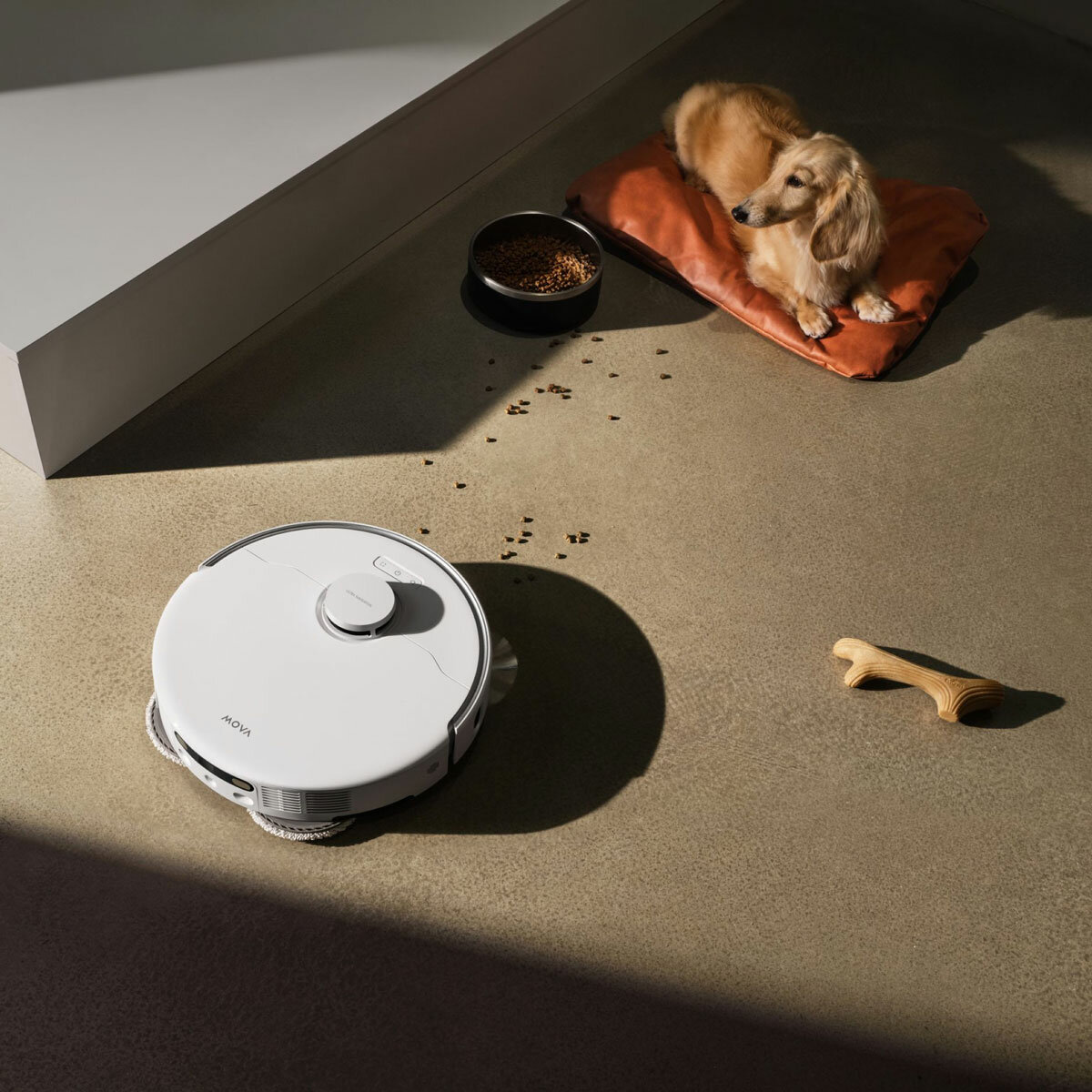 Lifestyle image of MOVA P50 Pro Ultra Robot Vacuum cleaning pet food