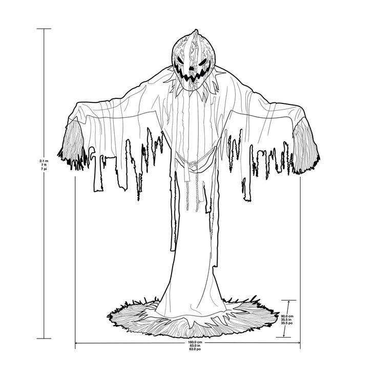 Buy Pumpkin Scarecrow Dimensions image at costco.co.uk
