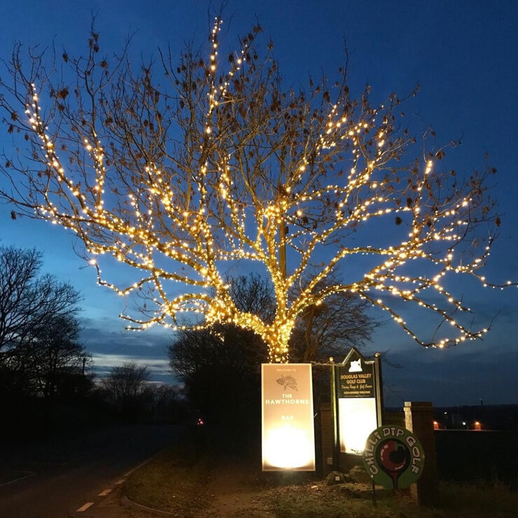 Lights4You 66ft (20m) 120 LED Warm White Outdoor String Lights