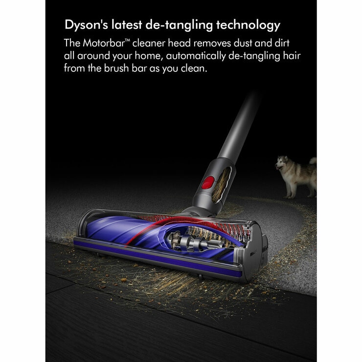Image of Dyson V8 Absolute describing detangling technology