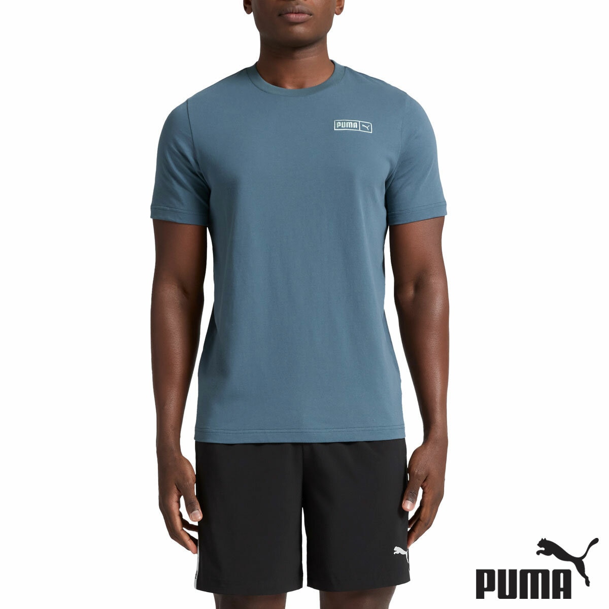 Puma Mens T-Shirt in Grey