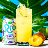 Lifestyle image of an next to full glass in tropical setting