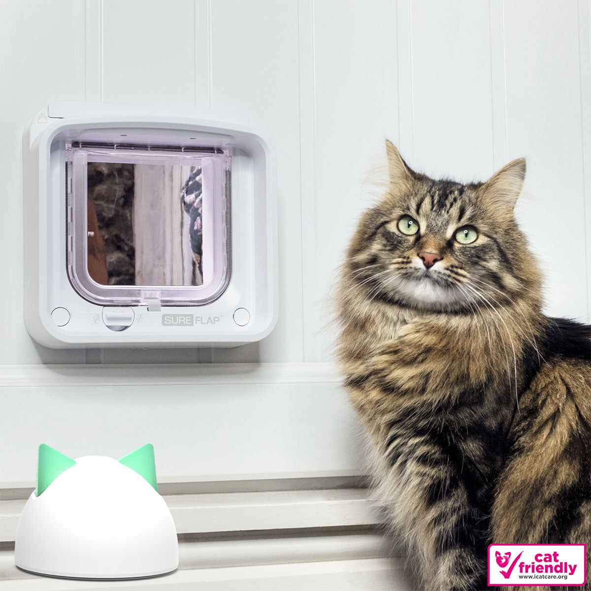 pet sure cat flap