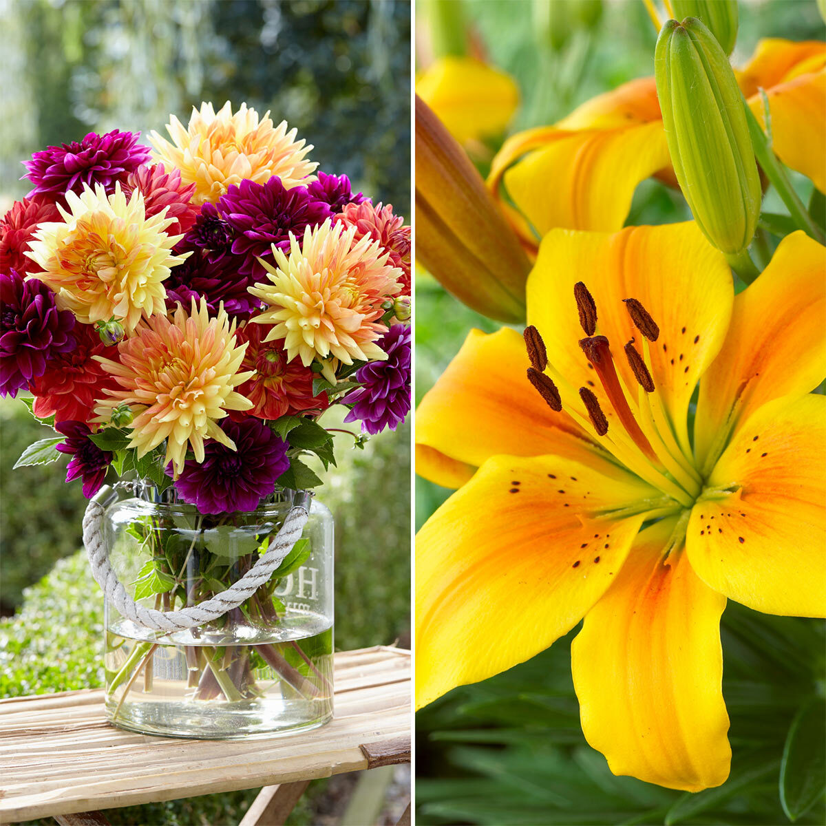 Ultimate Flower Collection, 300 Bulbs Costco UK