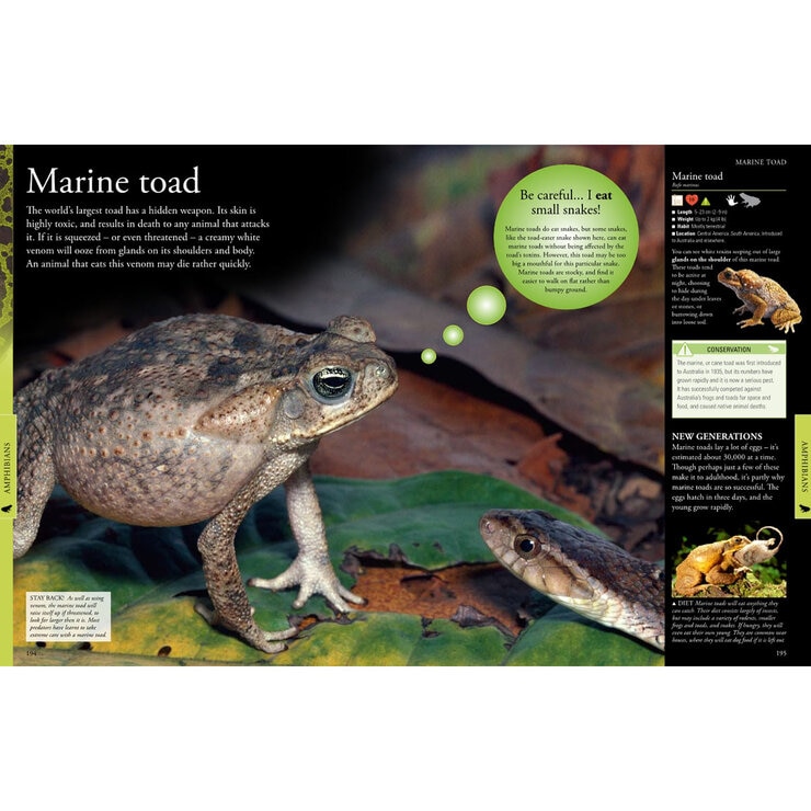 A Children's Encyclopedia Assortment, Animals