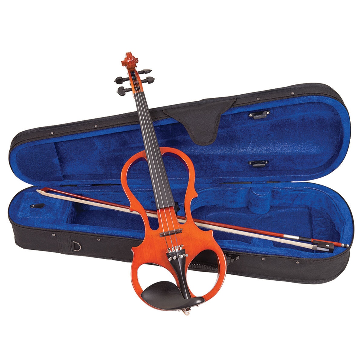 Violin with case