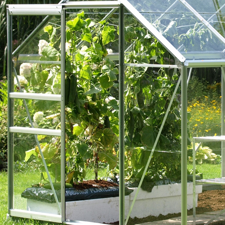 Vitavia Vermont 6200 6ft 2" x 10ft 4" (2 x 3.2 m) Greenhouse Package Vitavia Vermont 6200 6ft 2" x 10ft 4" (2 x 3.2 m) Greenhouse Package