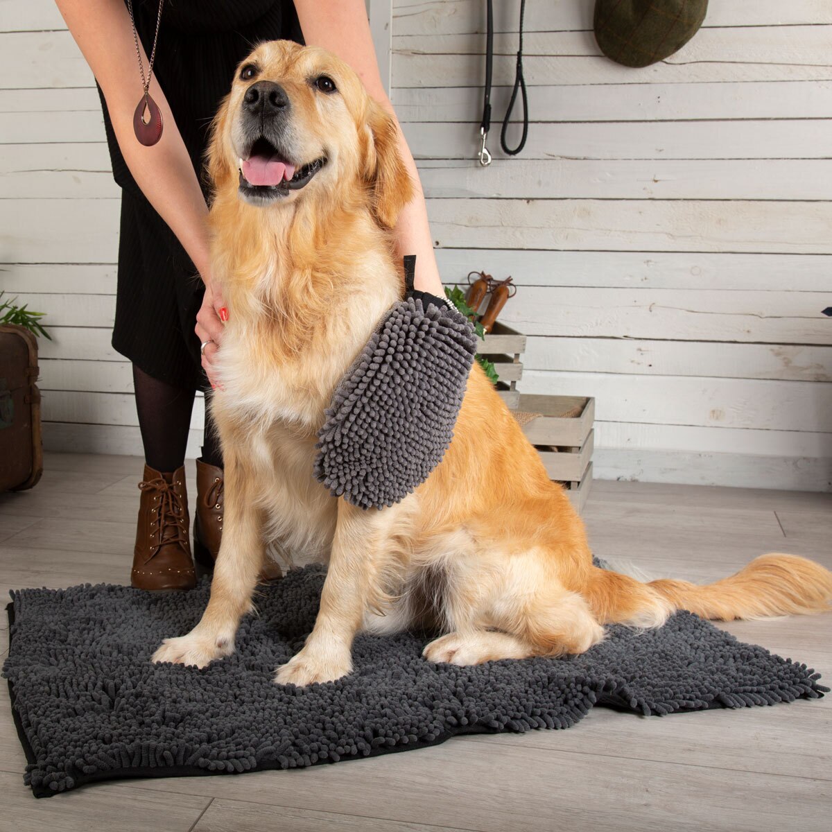 dog grooming kit costco