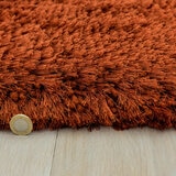 Plush Rust Rug