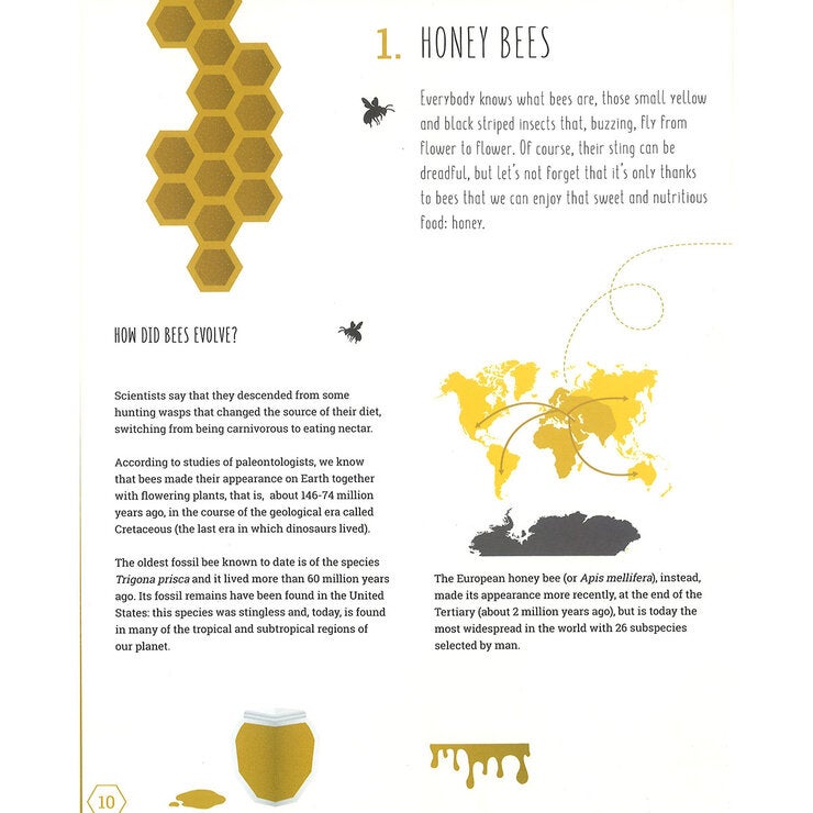 page spread bee page spread bee