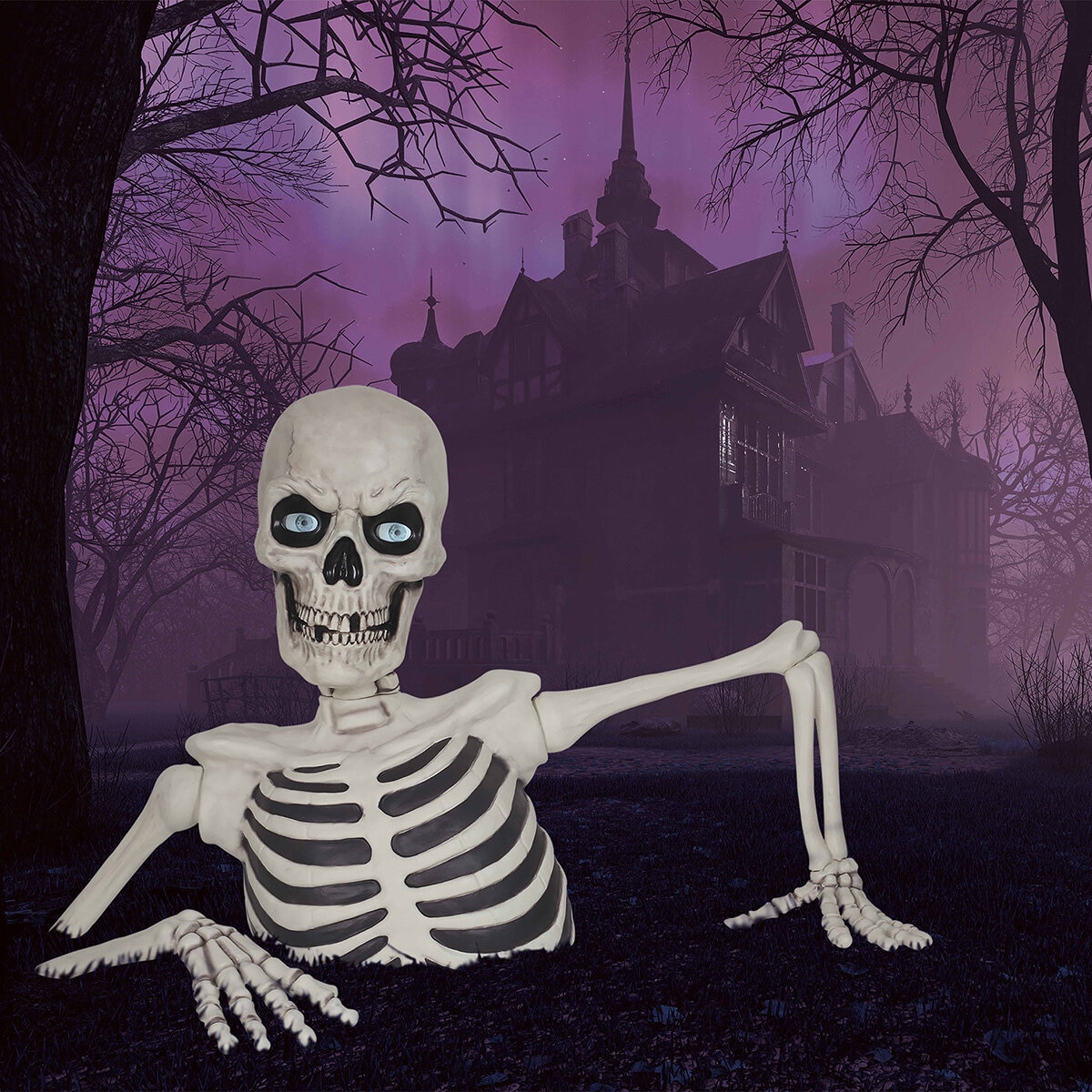 Giant Skeleton overview Image