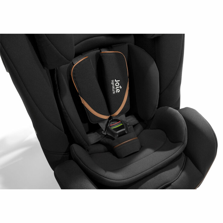 Studio image of the buckle and belts