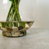 Rose in Vase White - Base Close Up