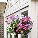 Artificial Purple & Pink Petunia Flower Hanging Basket