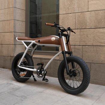 Rayvolt Ringo E-Bike with Lights, Leather Bag, Set Up Assistance And First Year Inspection