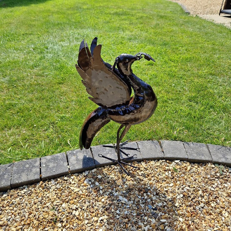 Pangea Liverbird Pangea Liverbird