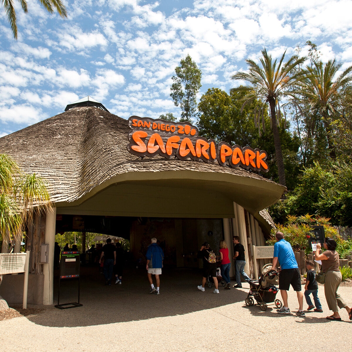 Go City San Diego All-Inclusive Pass Plus - San Diego Zoo Safari Park
