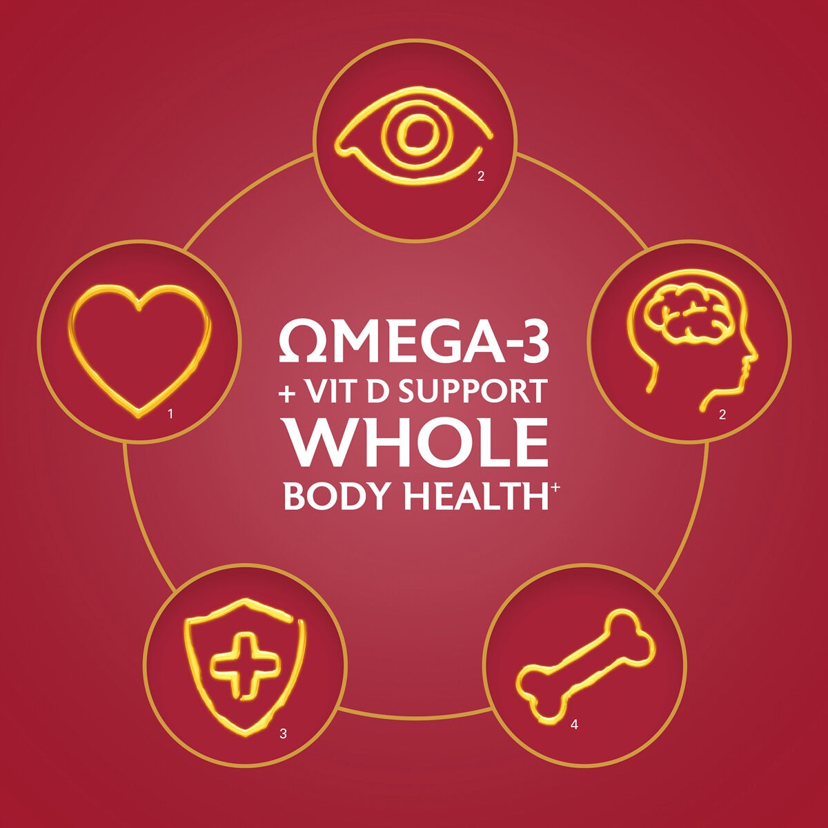 Whole Body Health