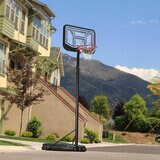 Lifestyle image of the Lifetime 44 Inch Portable Basketball Hoop