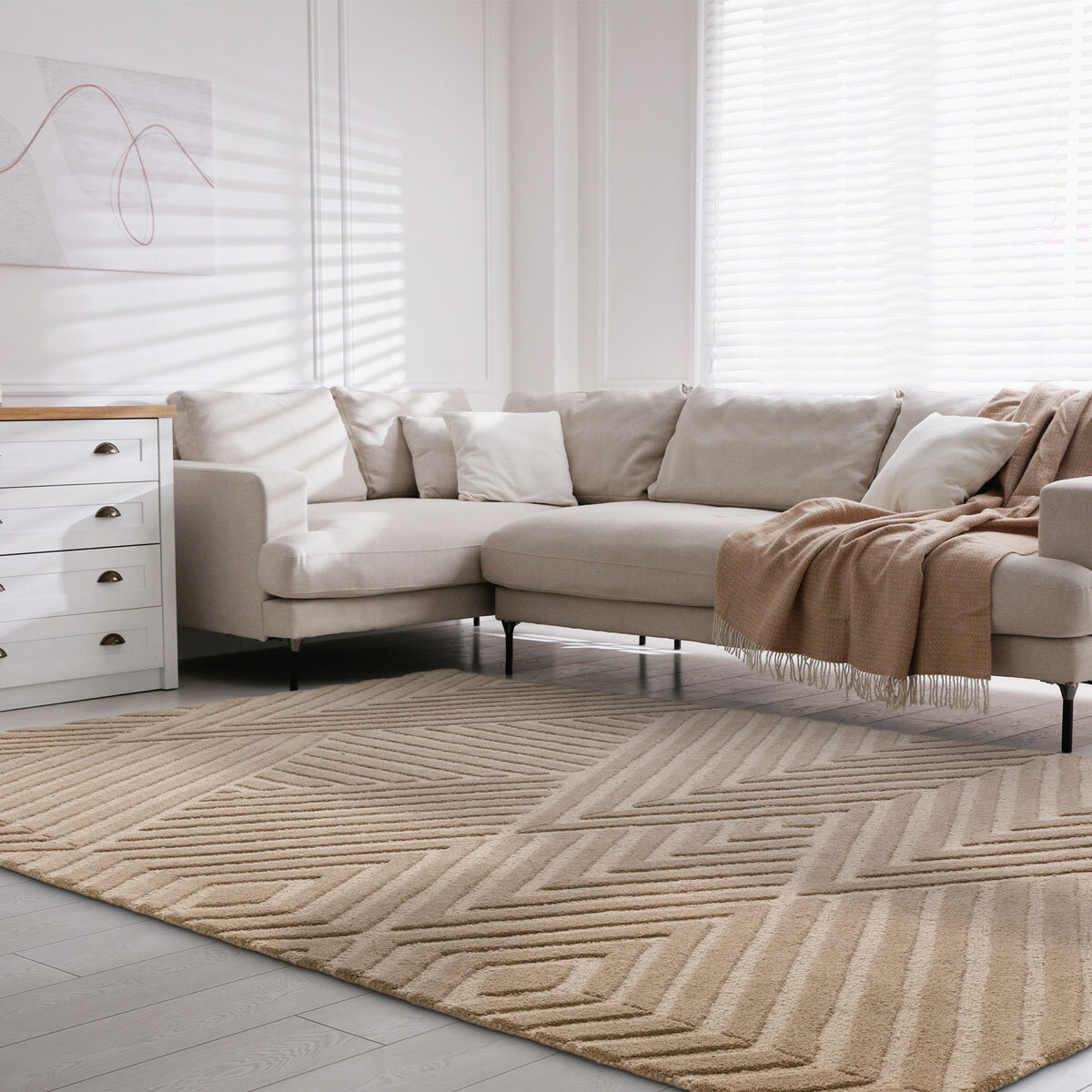Asiatic Hague Taupe Rug