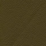 Nicoletti Taupe Leather Sample Swatch Nicoletti Taupe Leather Sample Swatch