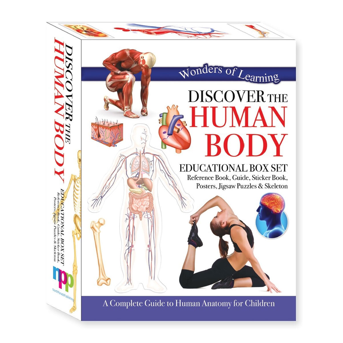 Discover Boxes in 4 Options: Human Body, Dinosaurs, Earth or Volcanoes