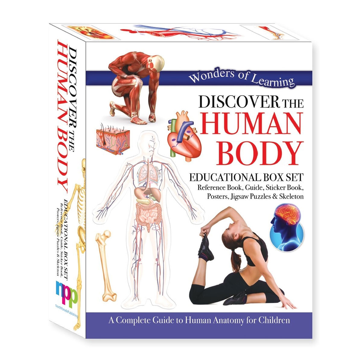 Discover Boxes Assortment in 4 Options: Human Body, Dinosaurs, Earth or Volcanoes