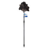 Home Valet Ozzie Ostrich Feather Duster