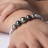 Ombre Tahitian and Akoya Pearl Bracelet, 18ct White Gold