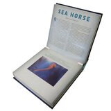 Sea Horse
